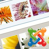 joomla25-carousel-feat